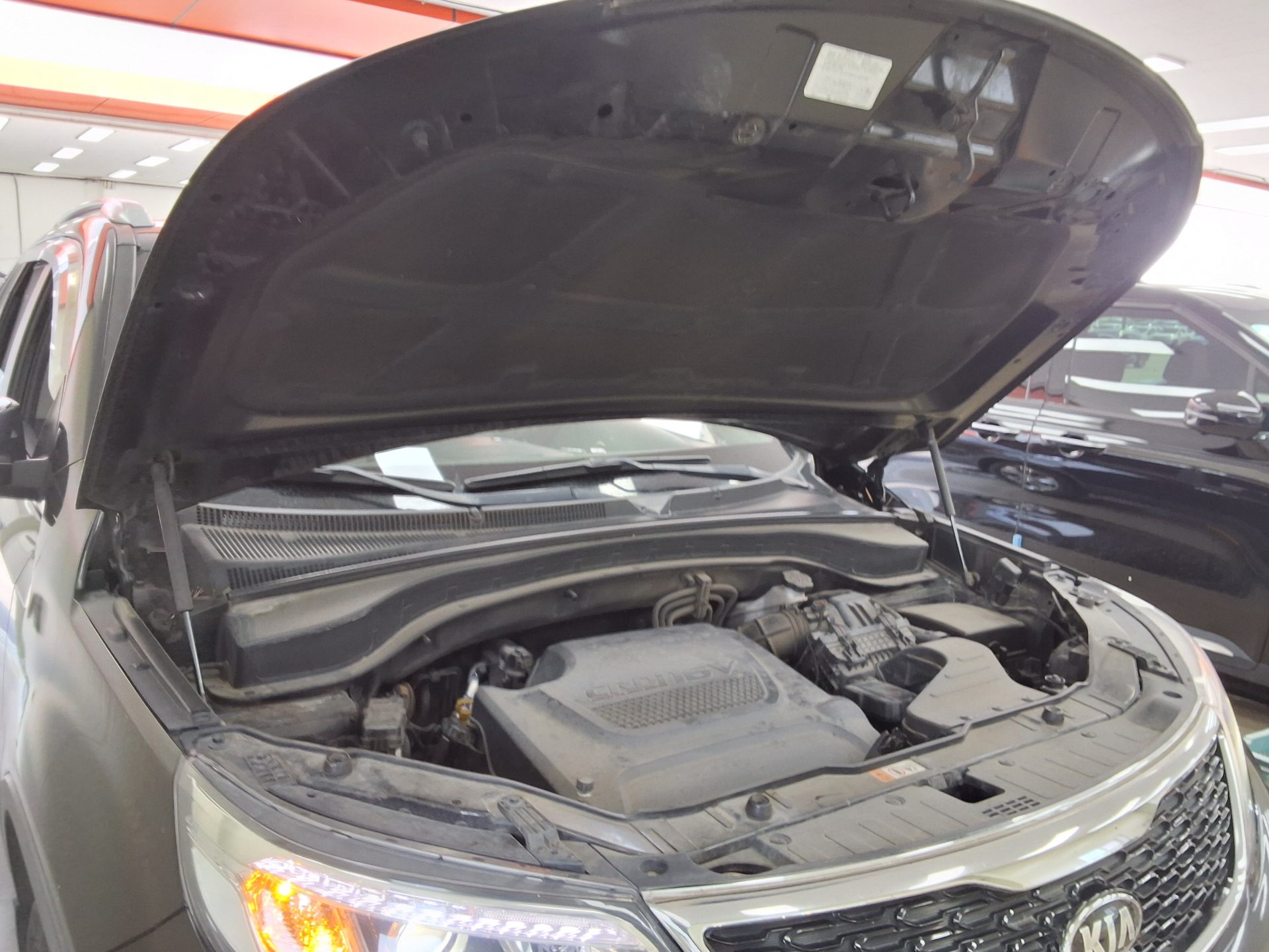 2014 - kia sorento