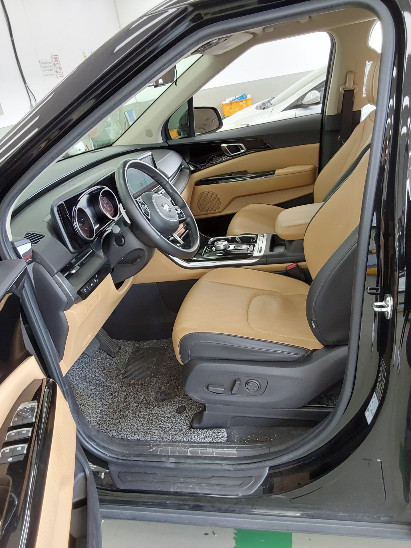 2021 - kia carnival