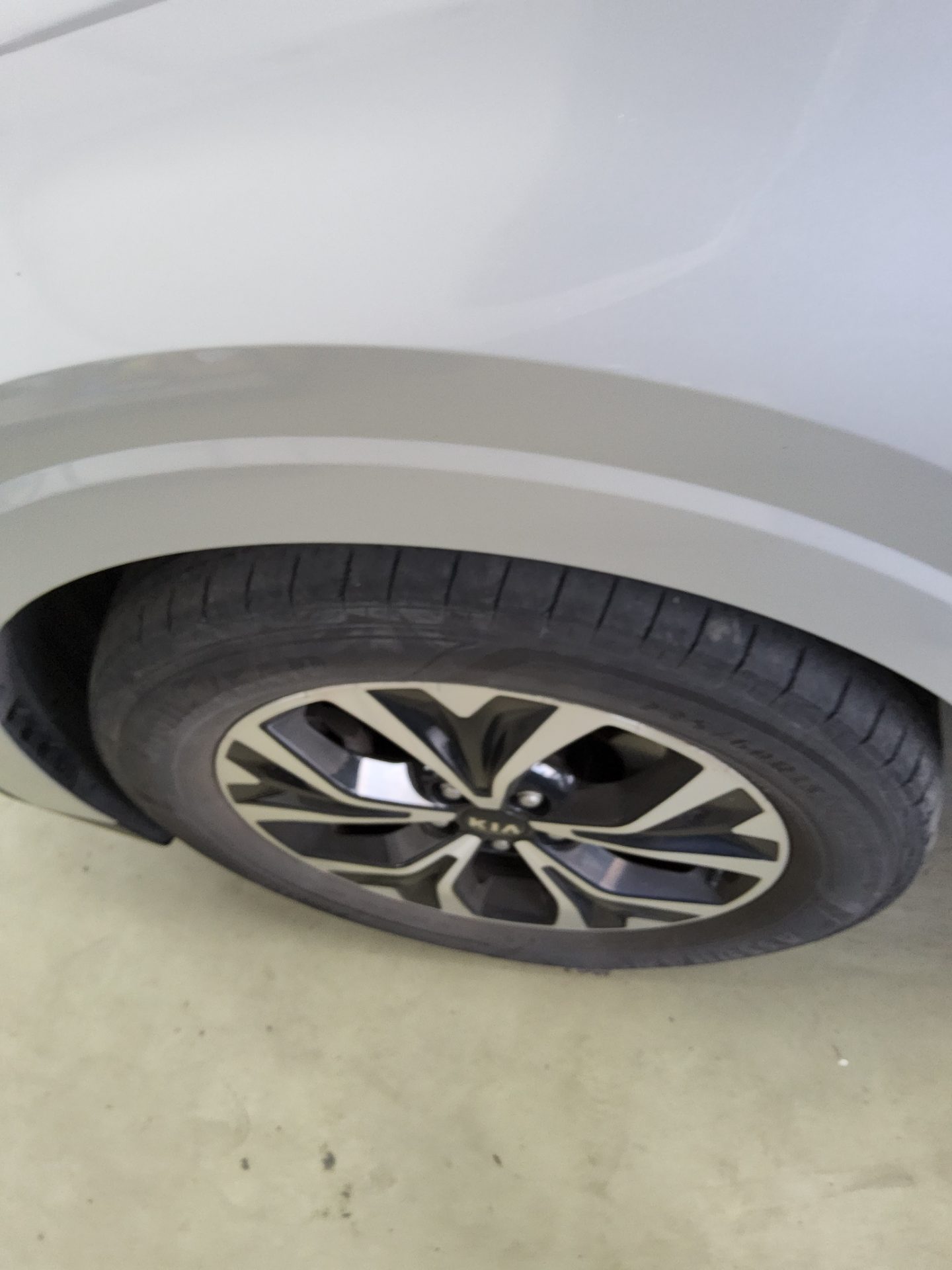2021 - kia carnival