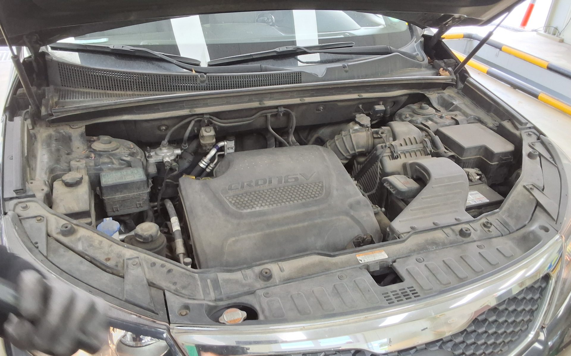 2011 - kia sorento