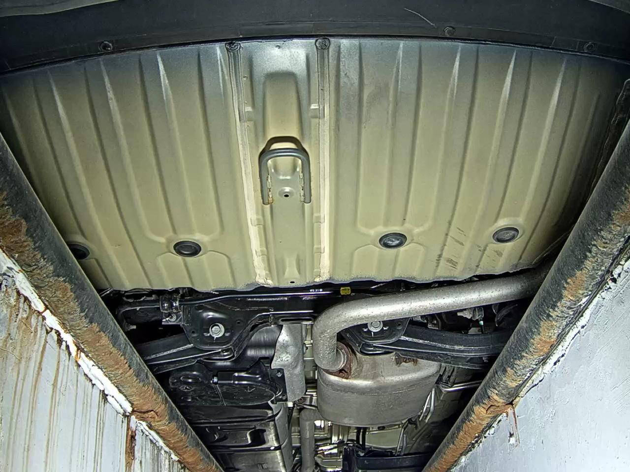 2023 - kia carnival