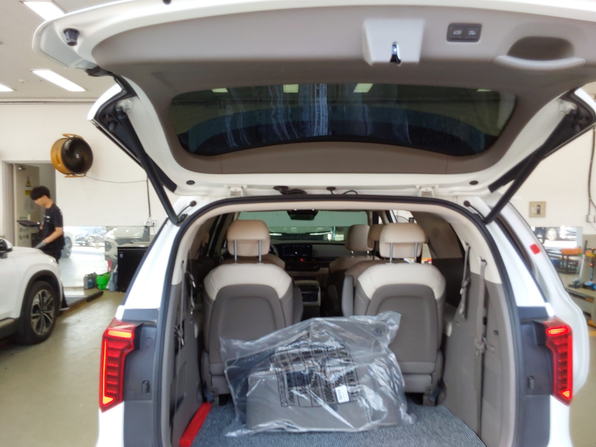 2024 - kia carnival