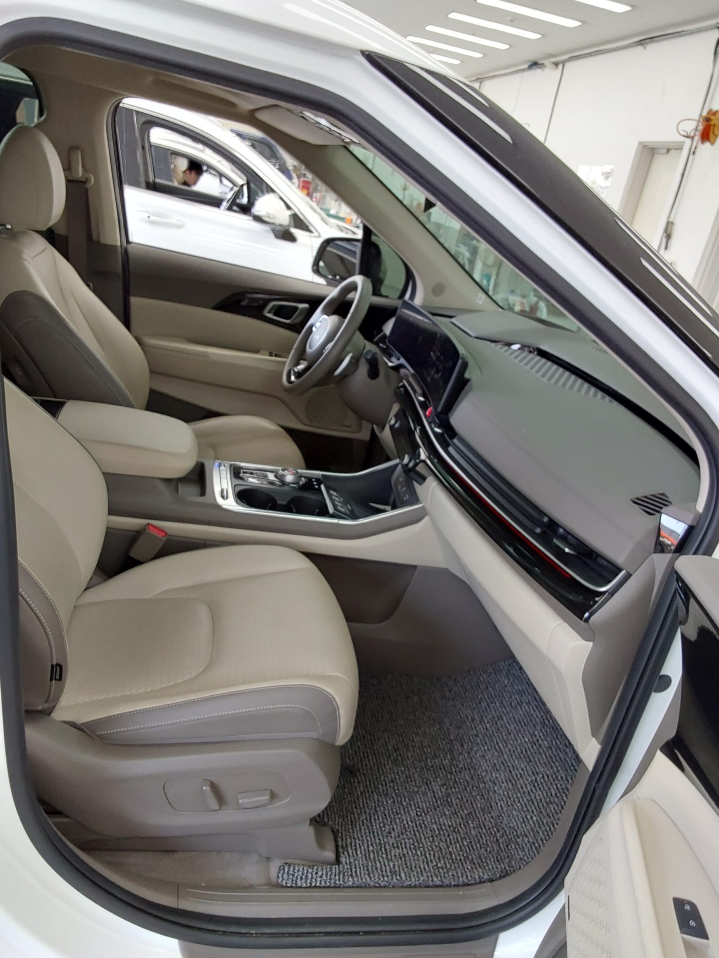 2024 - kia carnival