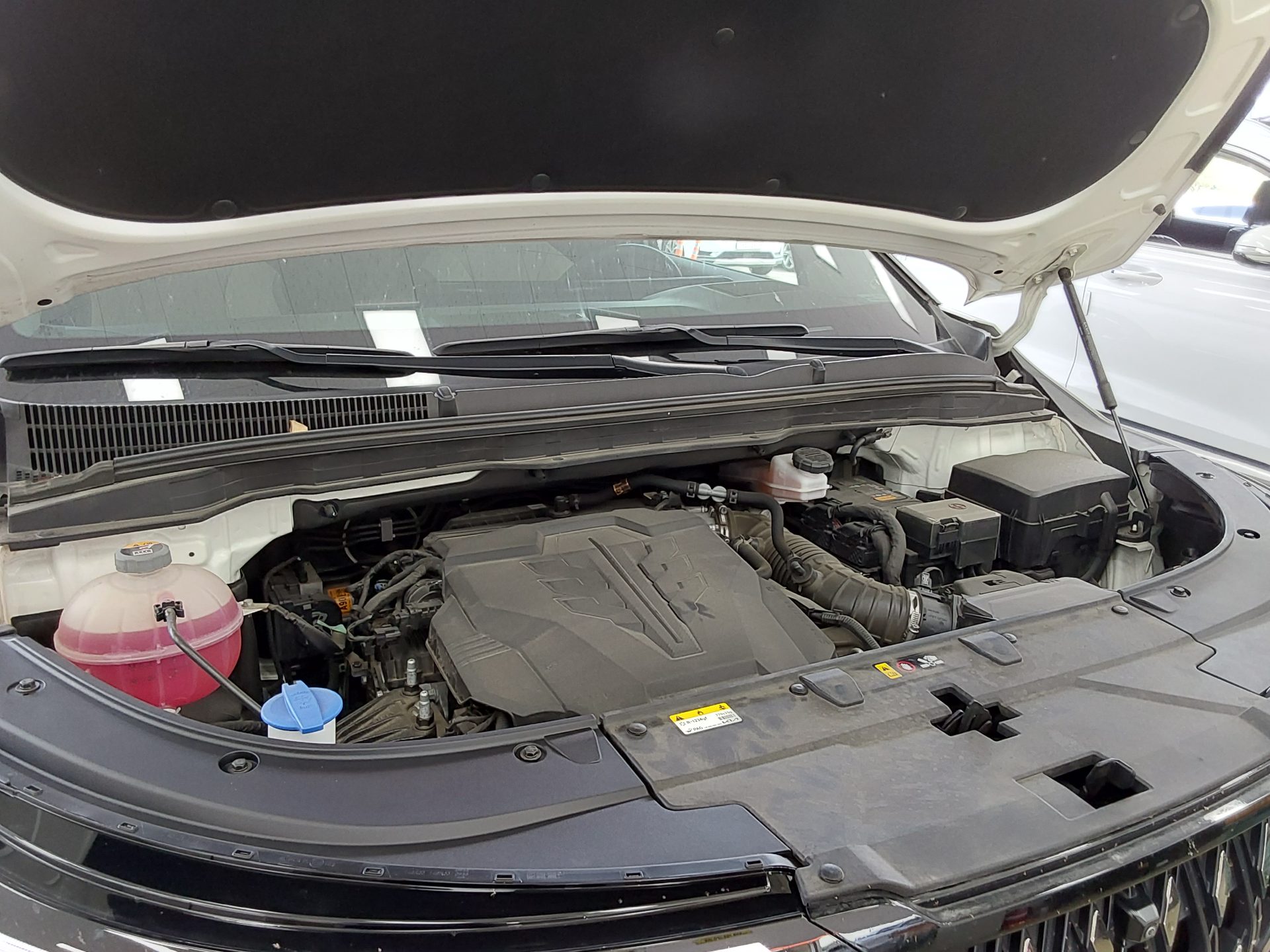 2024 - kia carnival