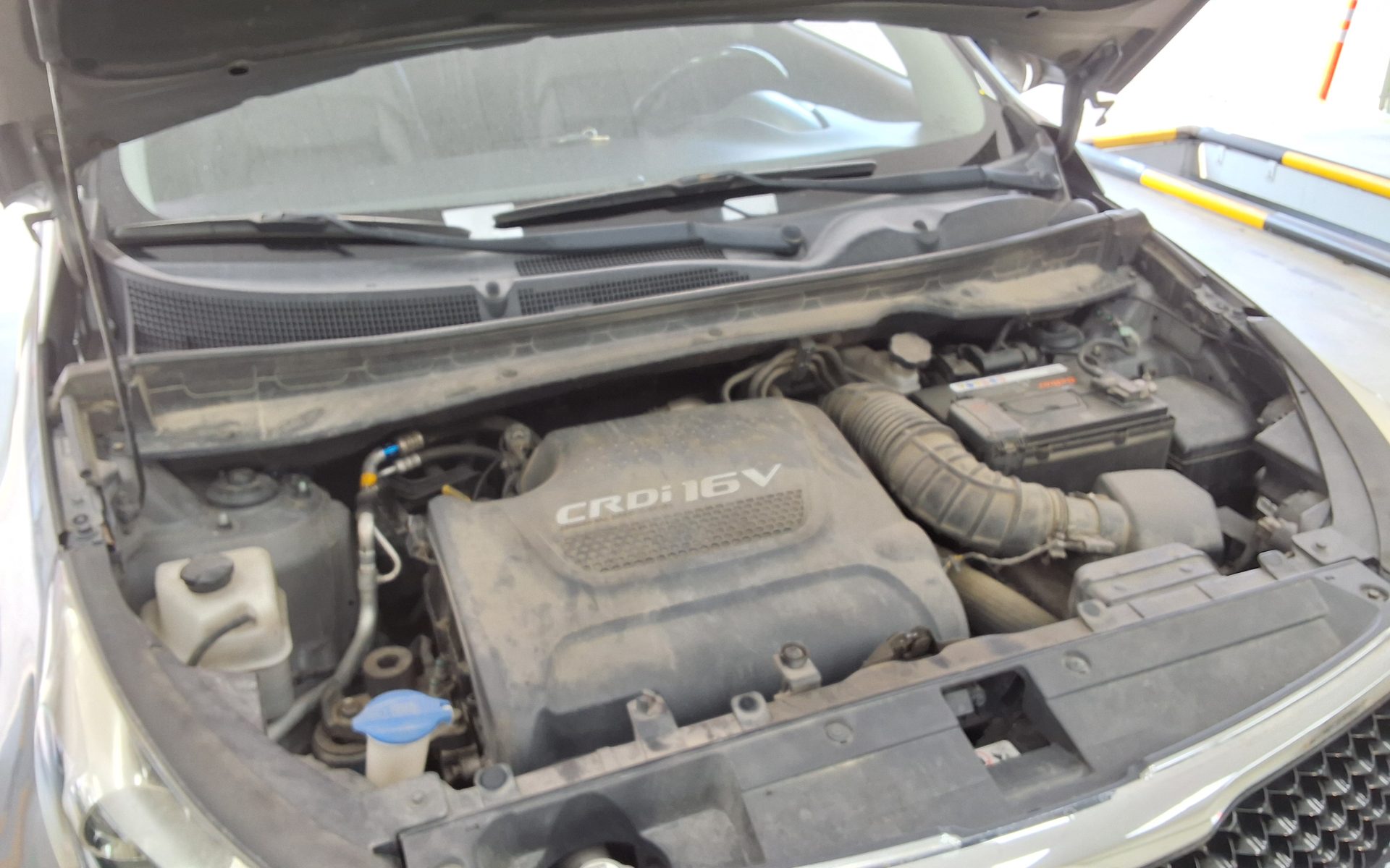 2014 - kia sportage