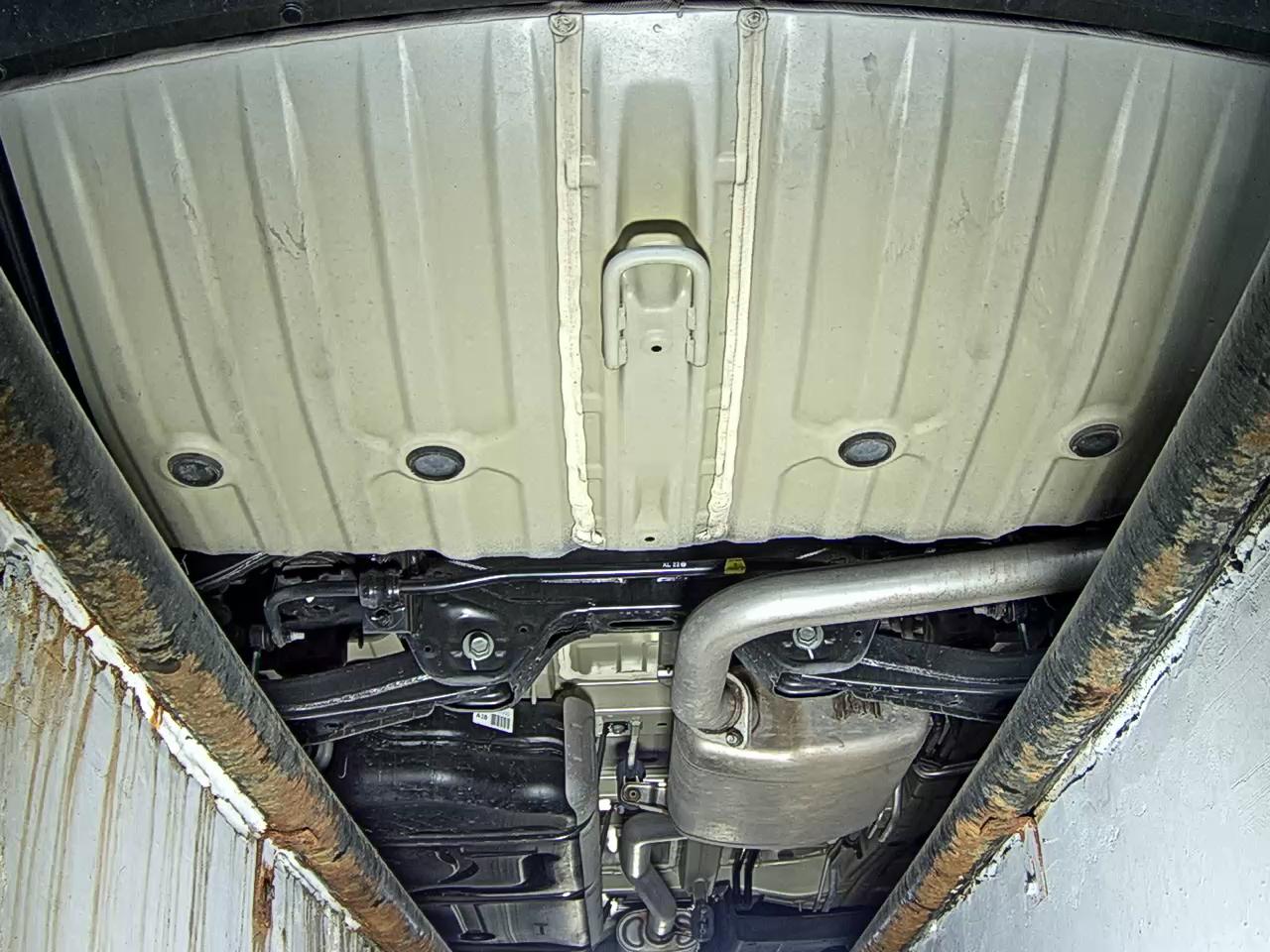 2024 - kia carnival