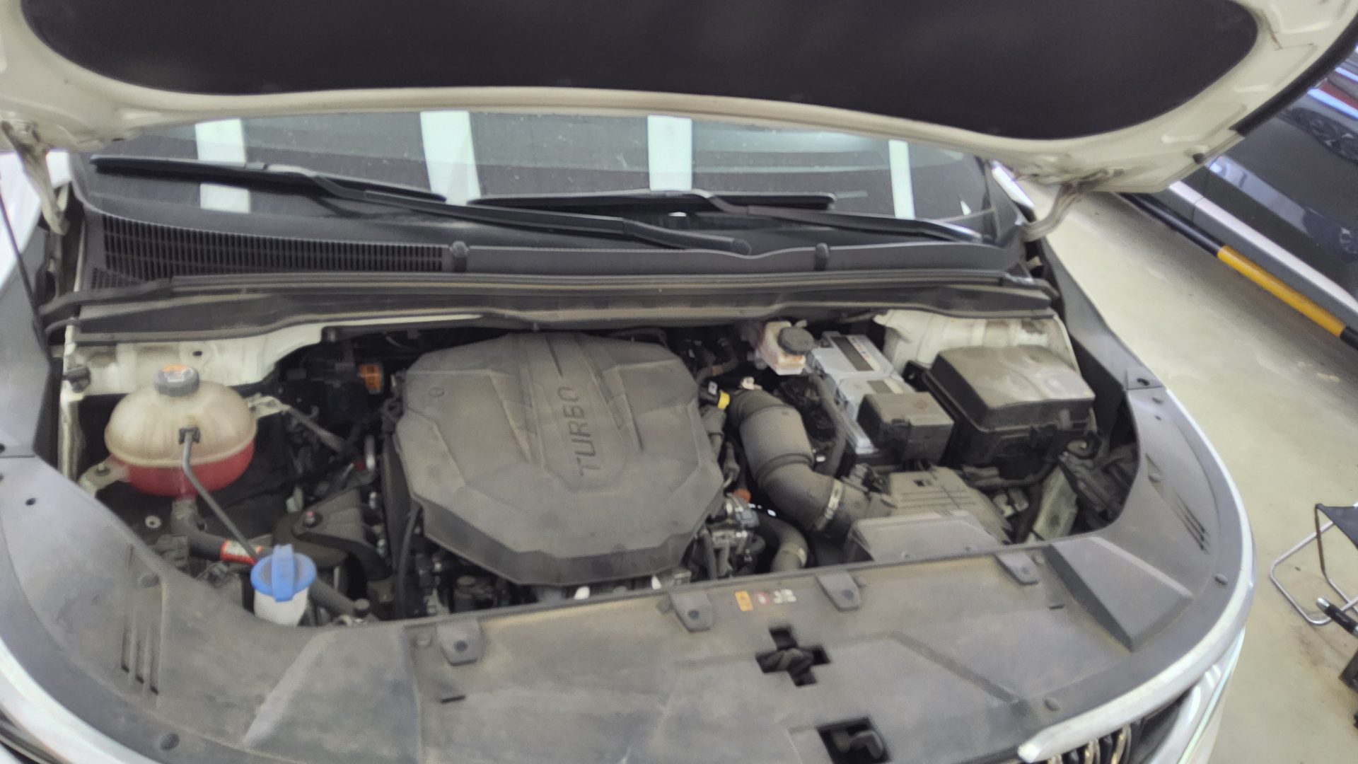 2021 - kia carnival