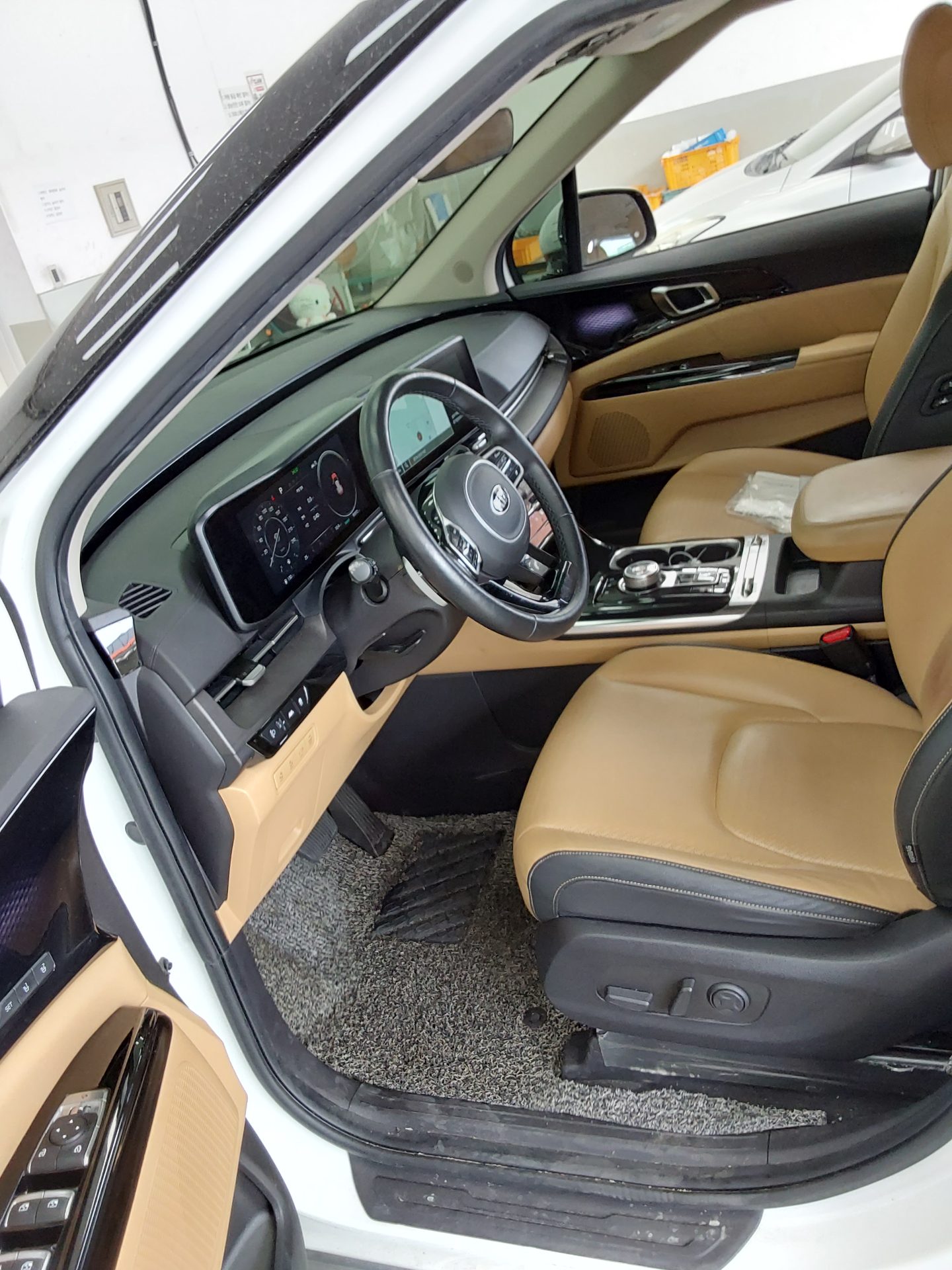 2021 - kia carnival