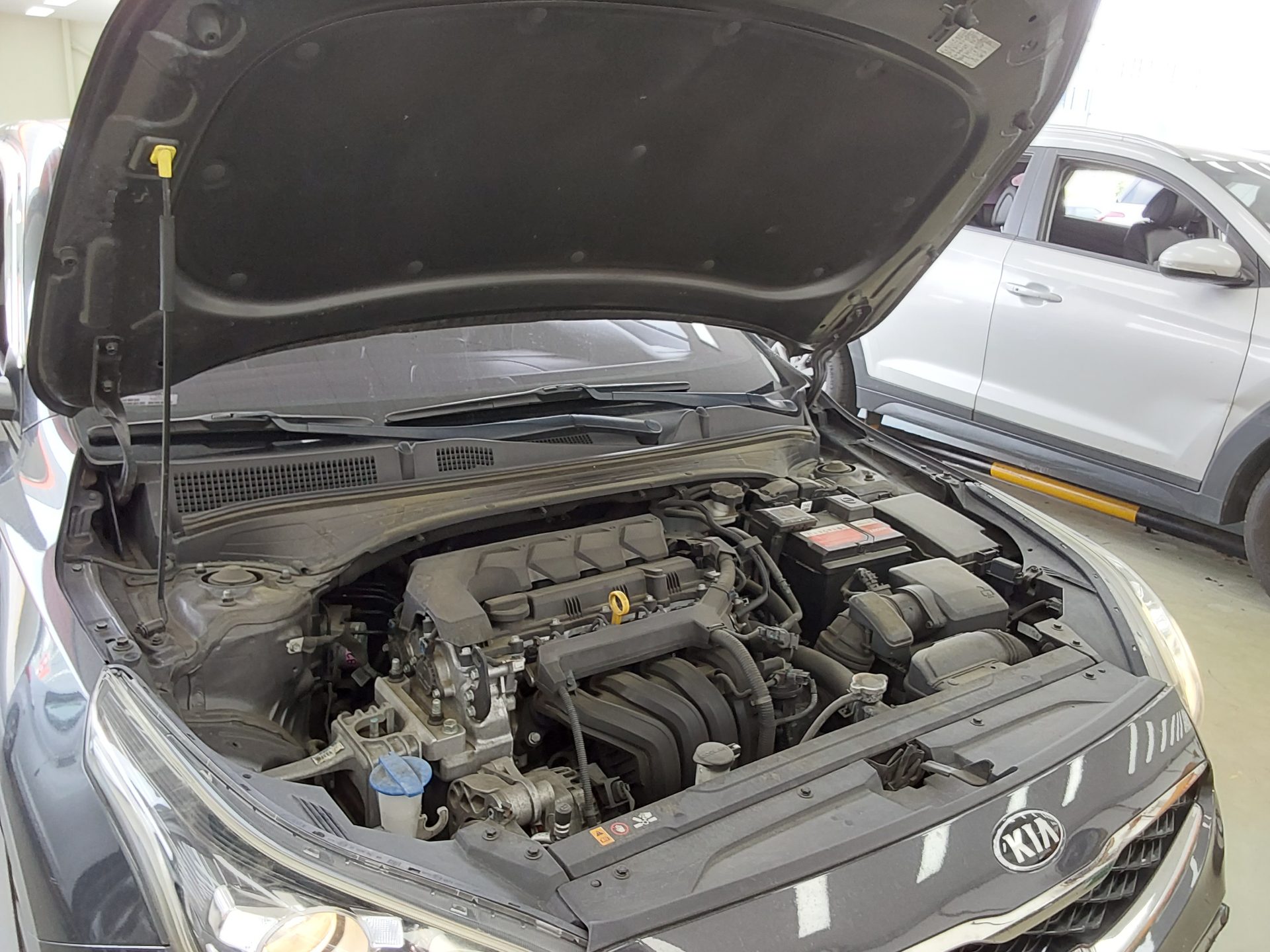 2019 - kia k3
