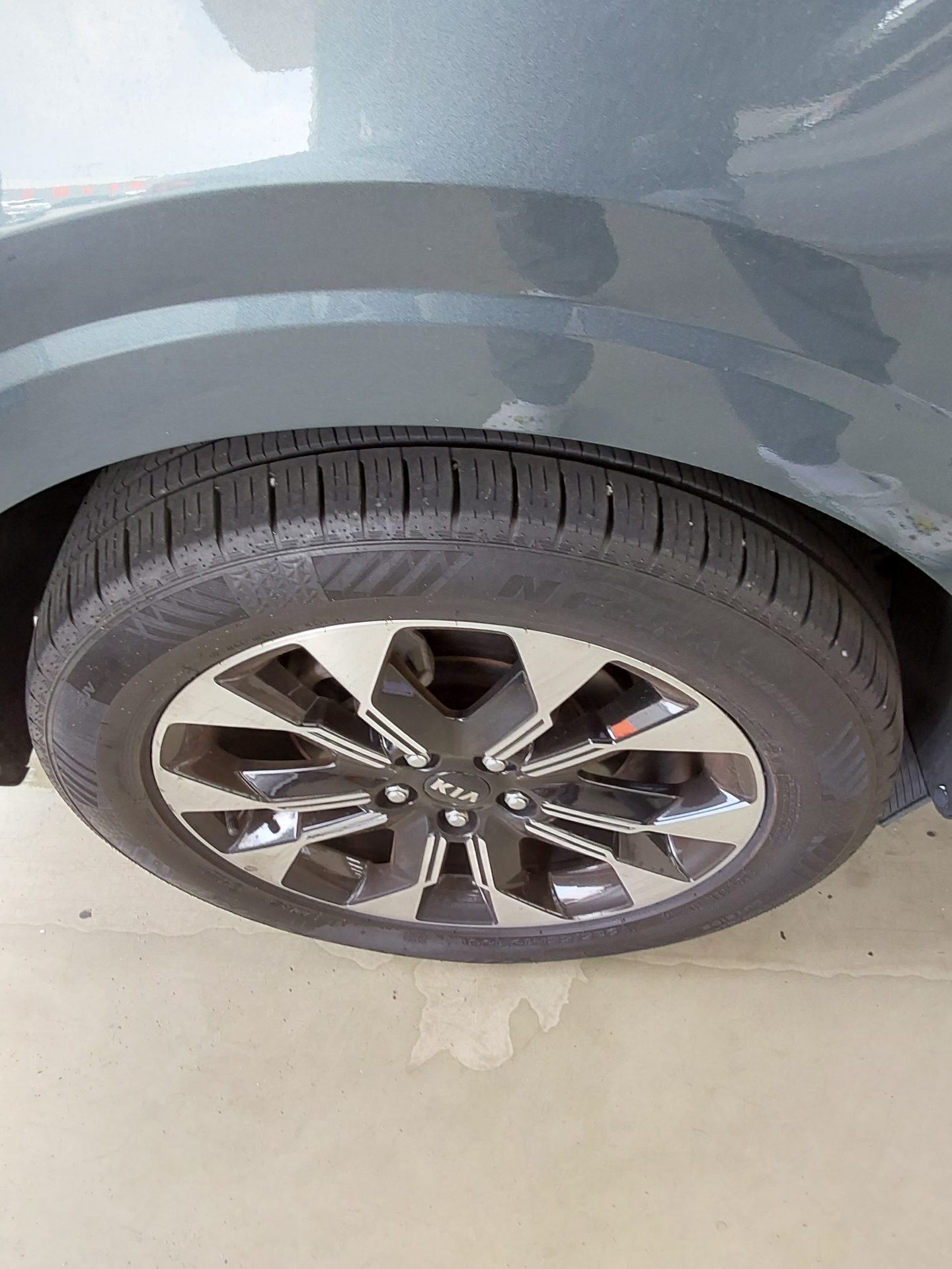 2021 - kia carnival