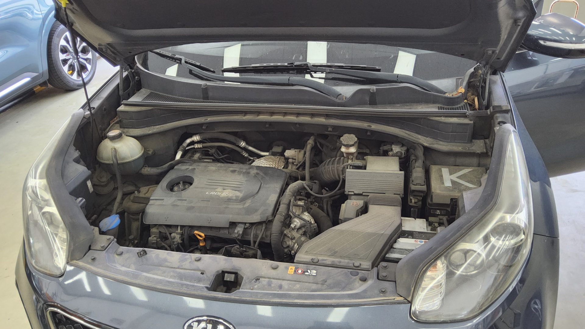 2016 - kia sportage