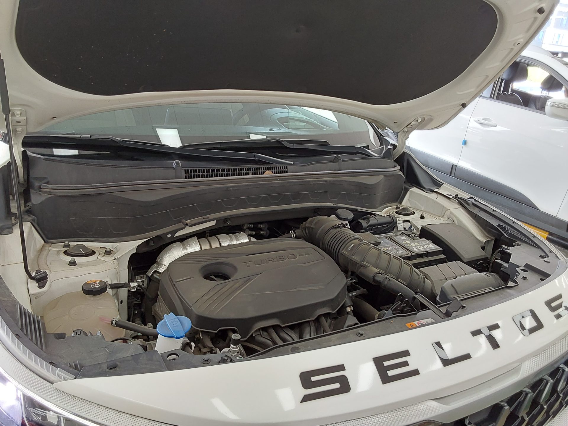2022 - kia seltos
