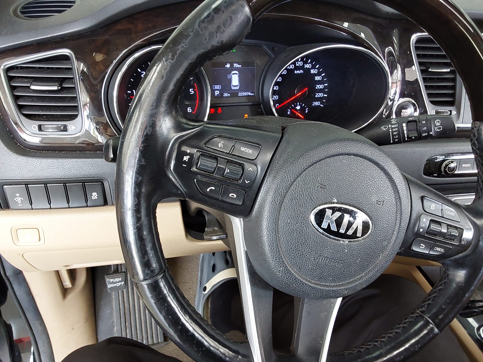 2019 - kia carnival