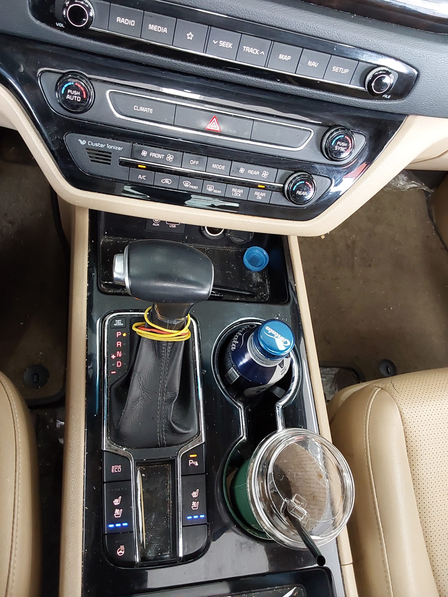2019 - kia carnival