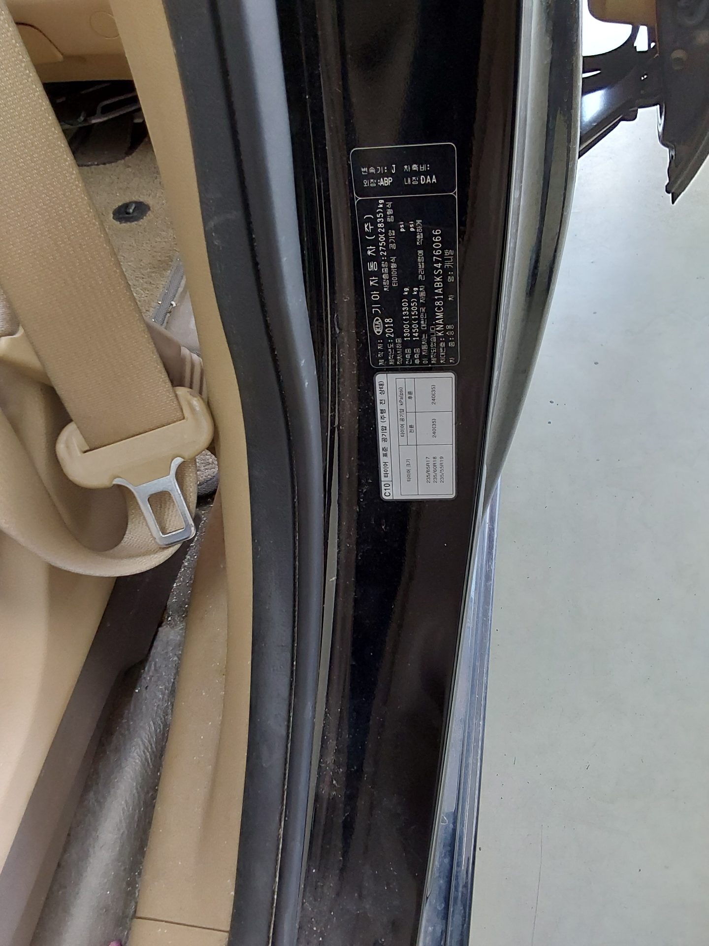 2019 - kia carnival