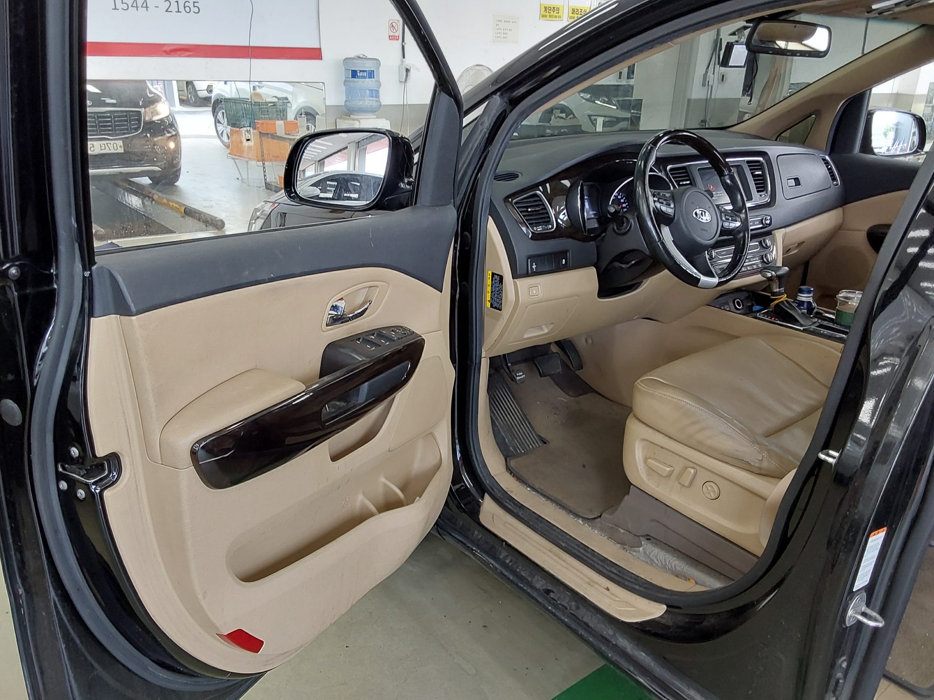 2019 - kia carnival
