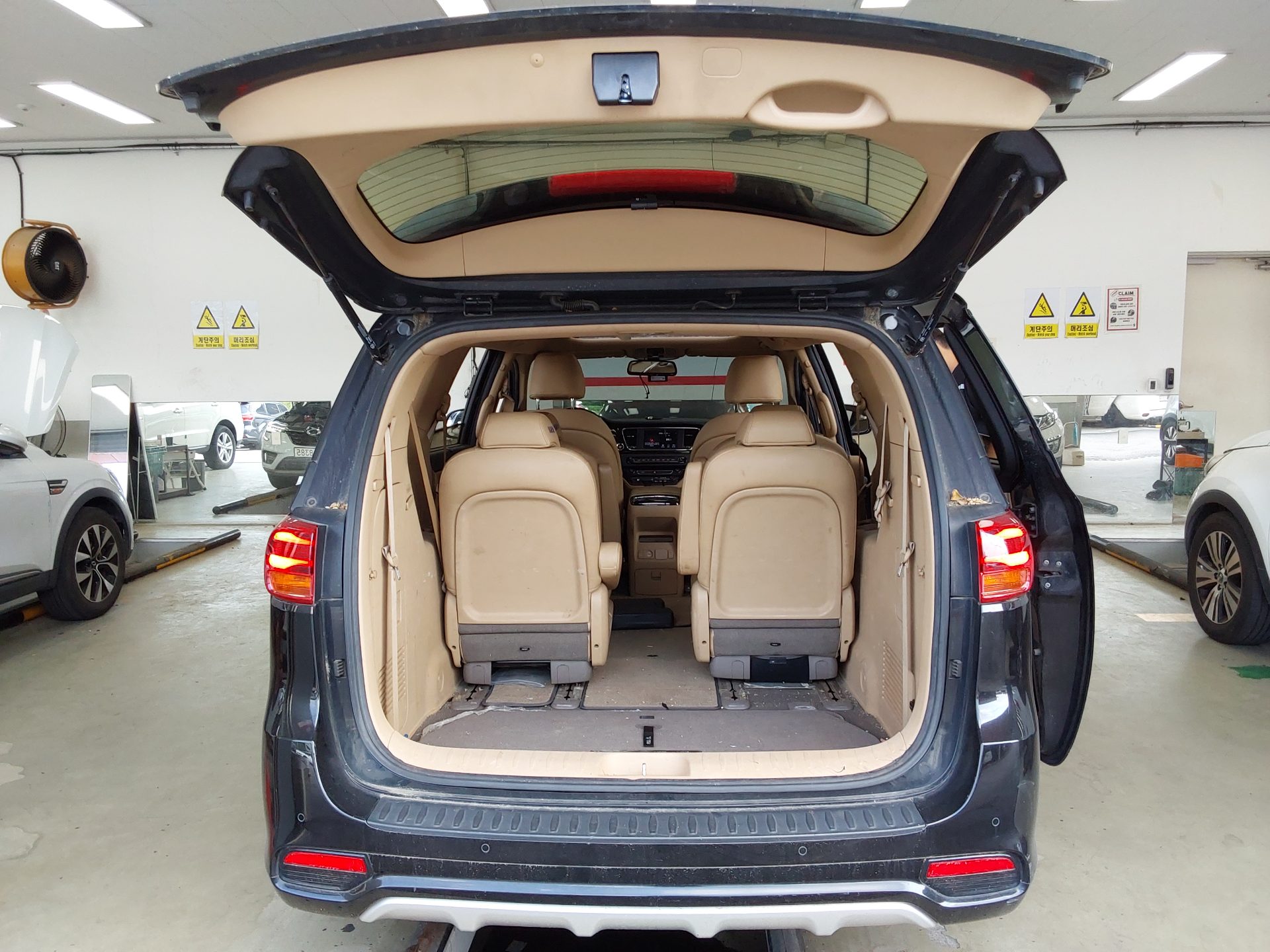 2019 - kia carnival