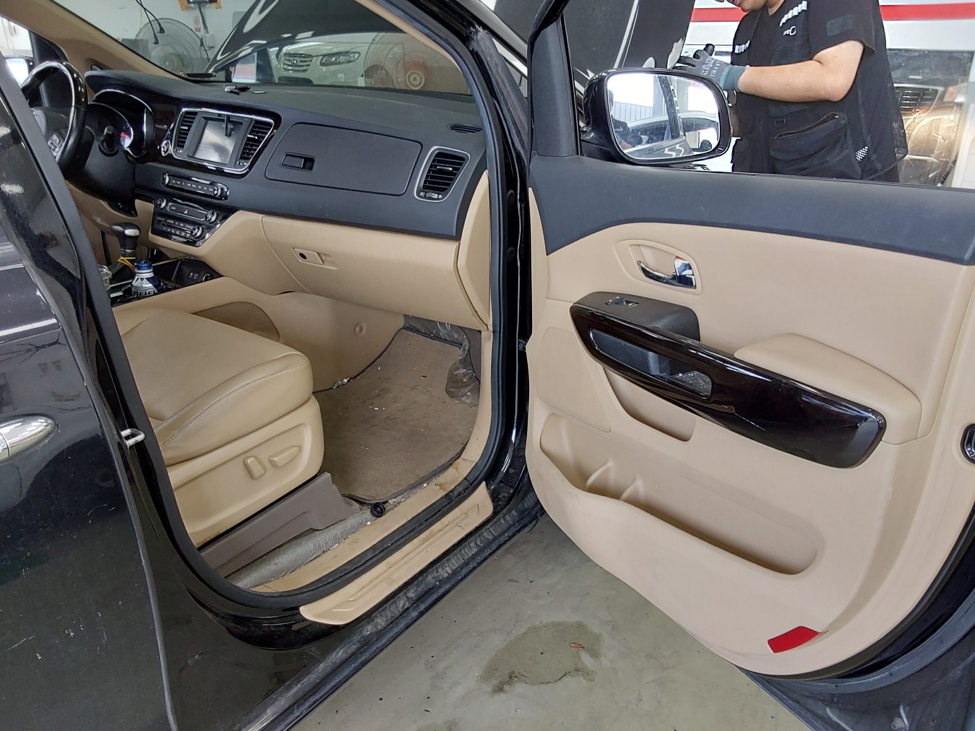 2019 - kia carnival
