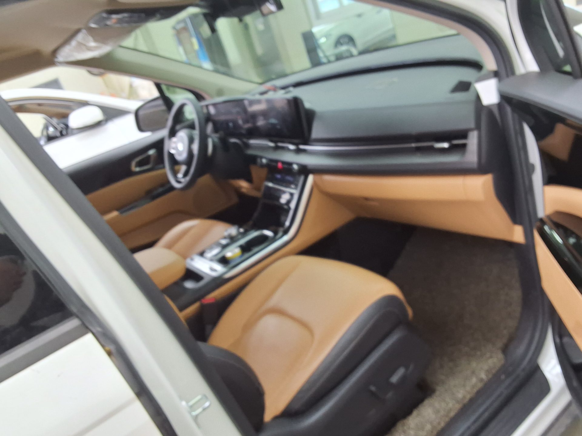 2021 - kia carnival