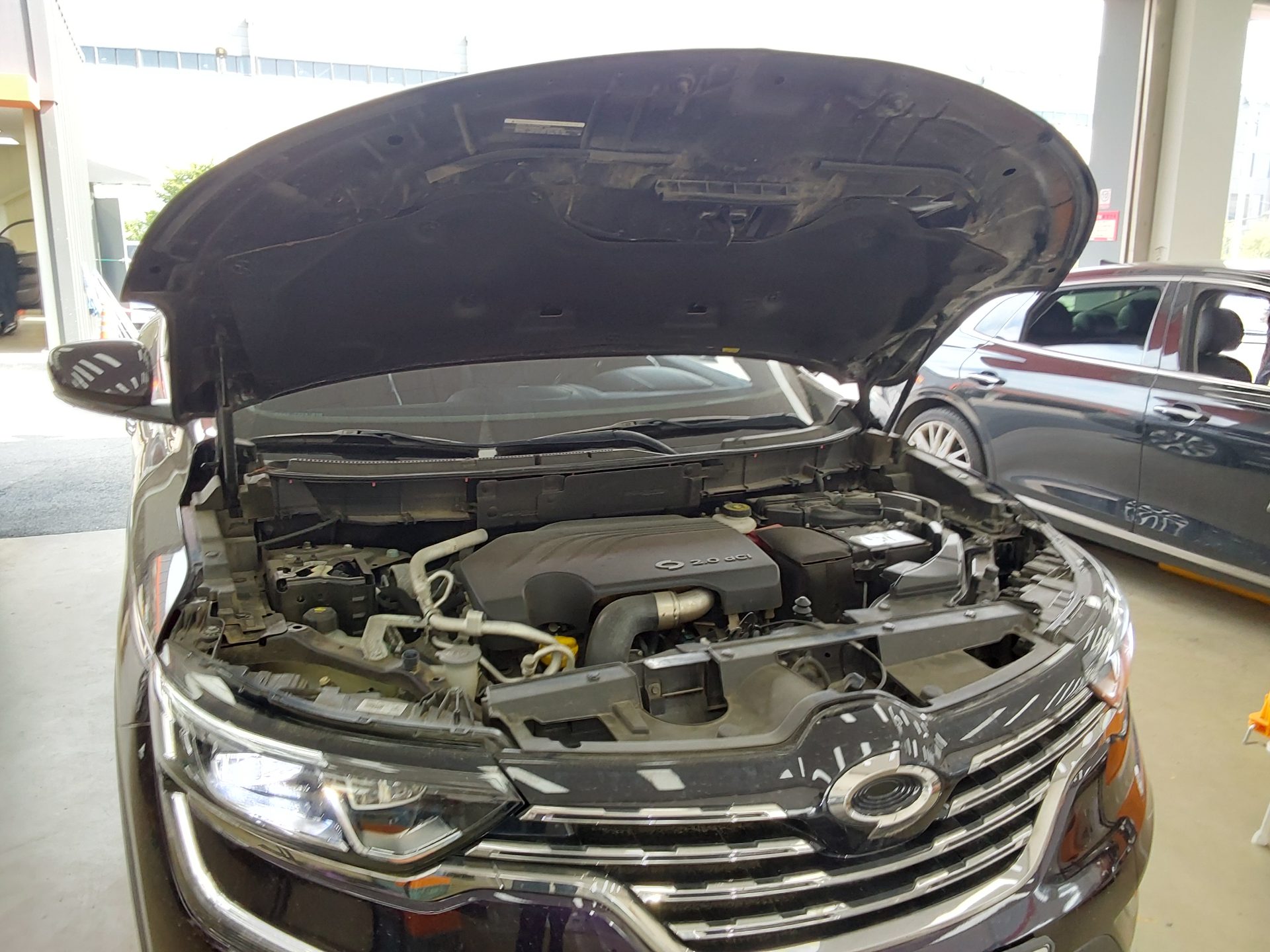 2019 - renault qm6