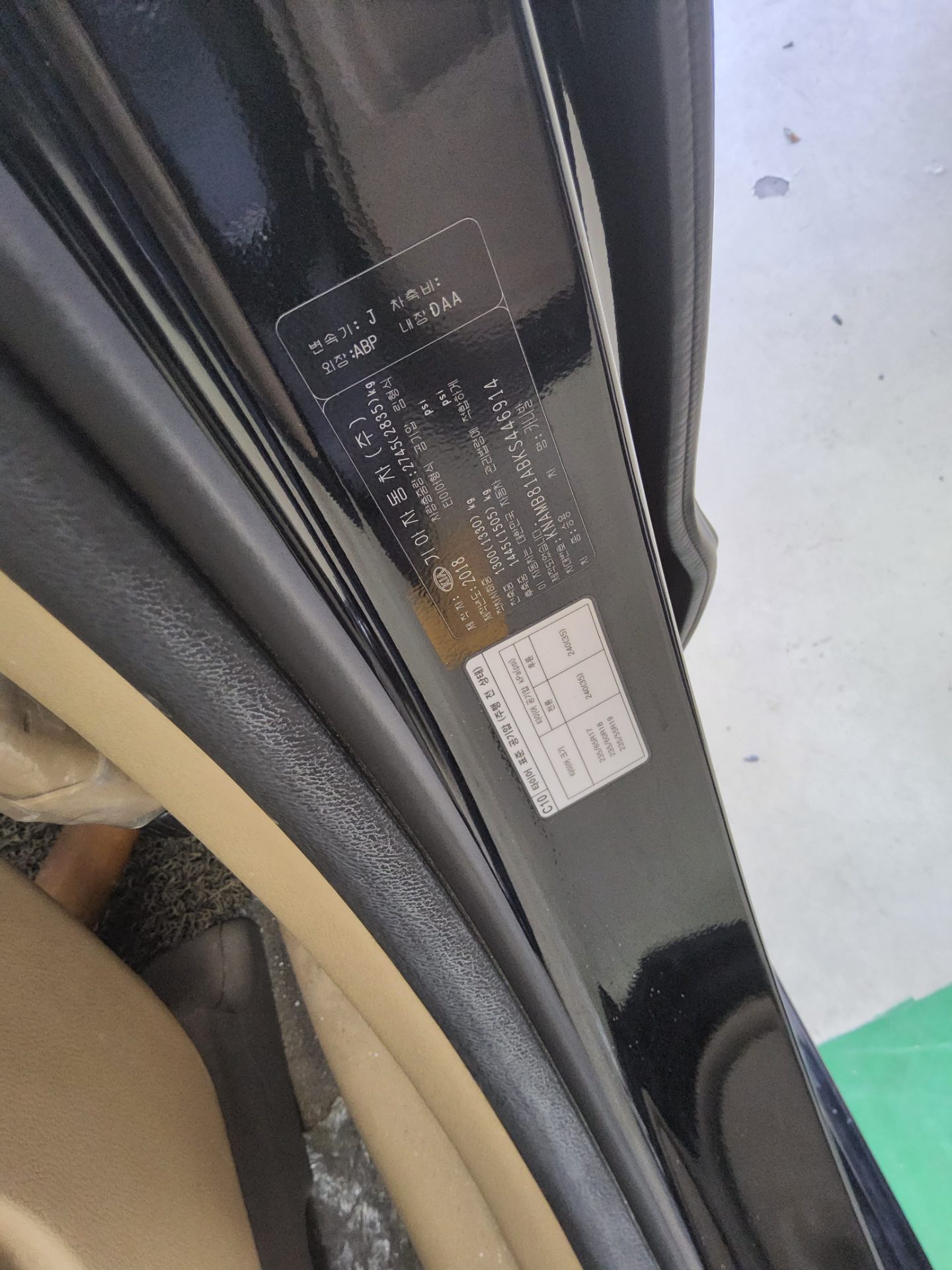 2019 - kia carnival