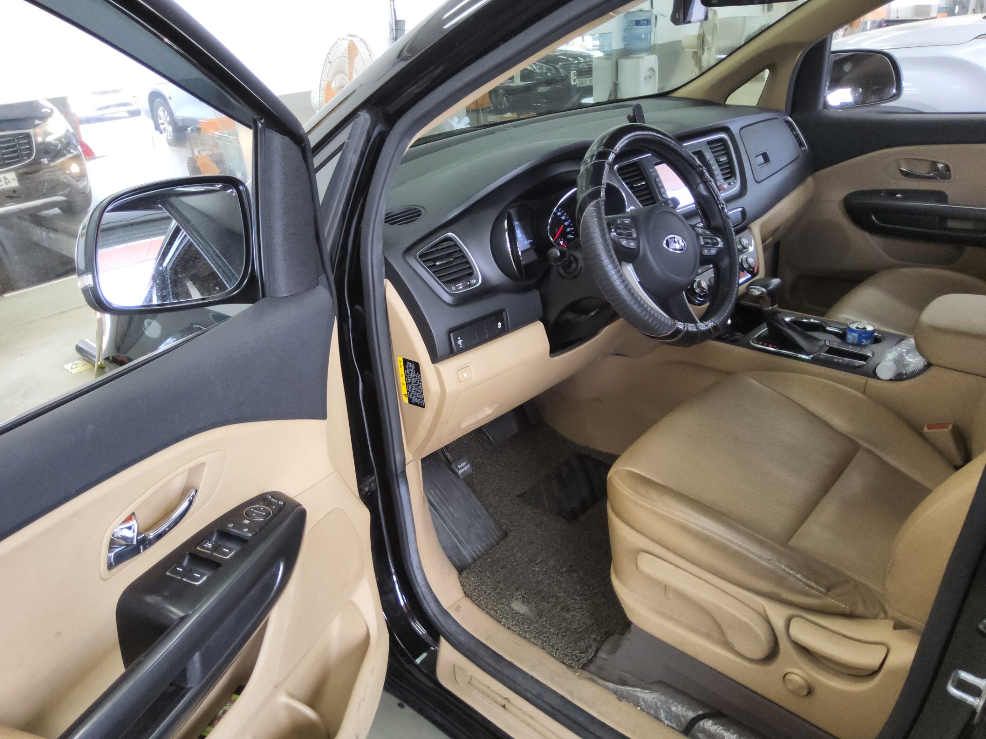 2019 - kia carnival