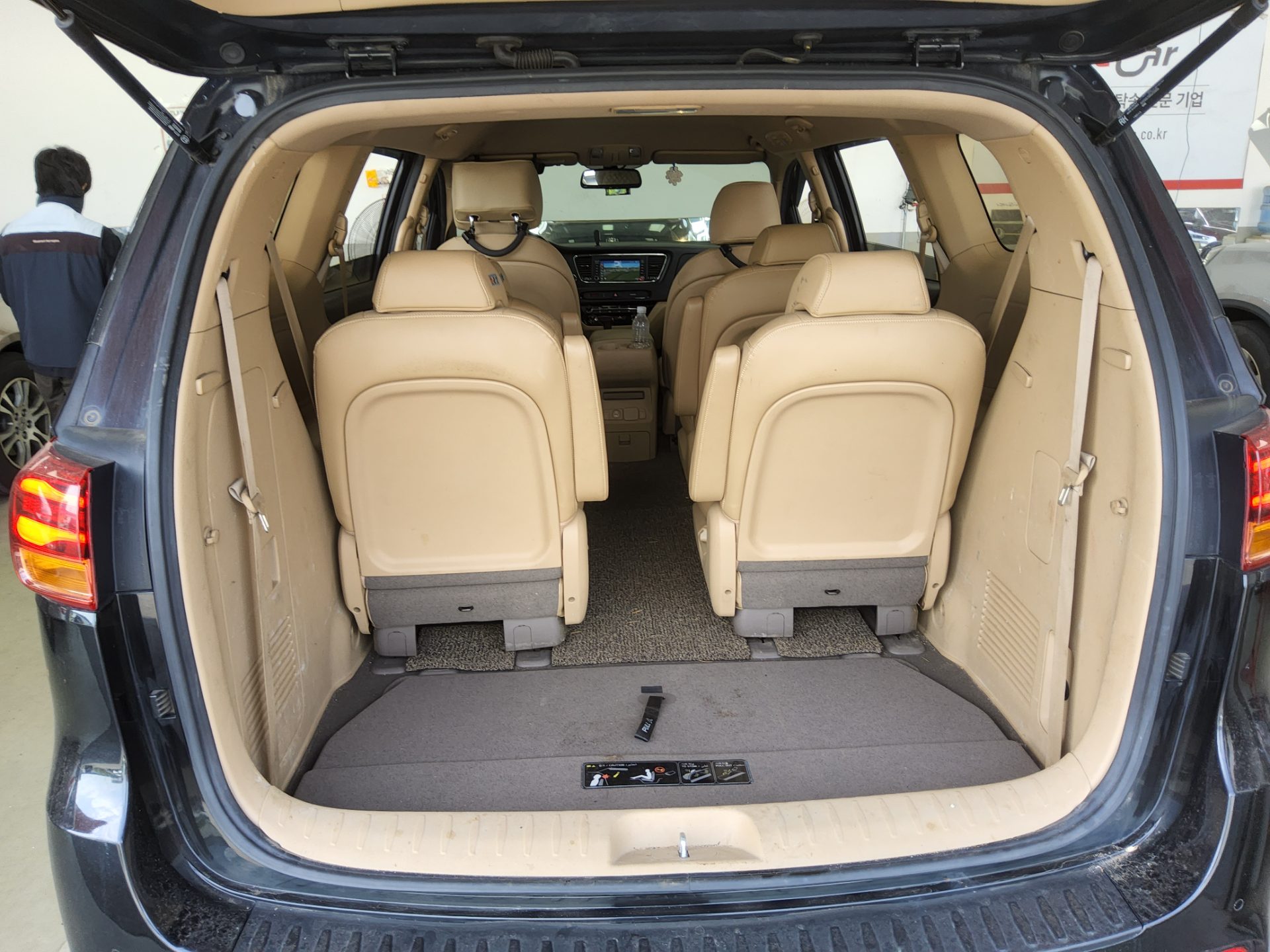 2019 - kia carnival