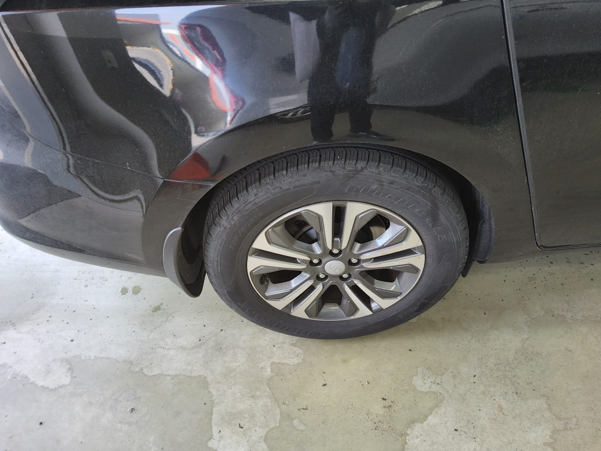 2019 - kia carnival