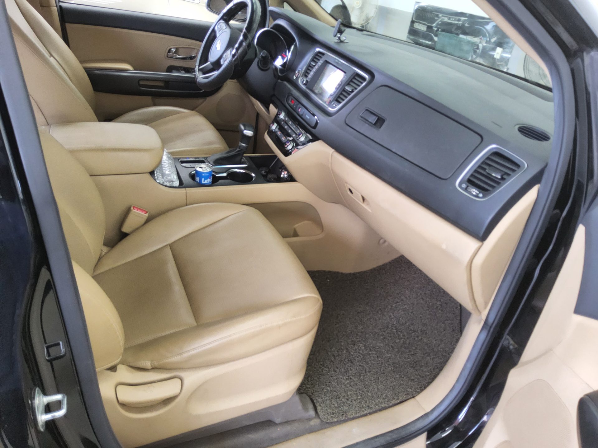 2019 - kia carnival