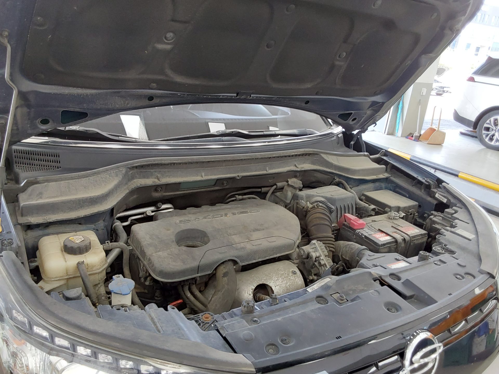 2019 - ssangyong tivoli