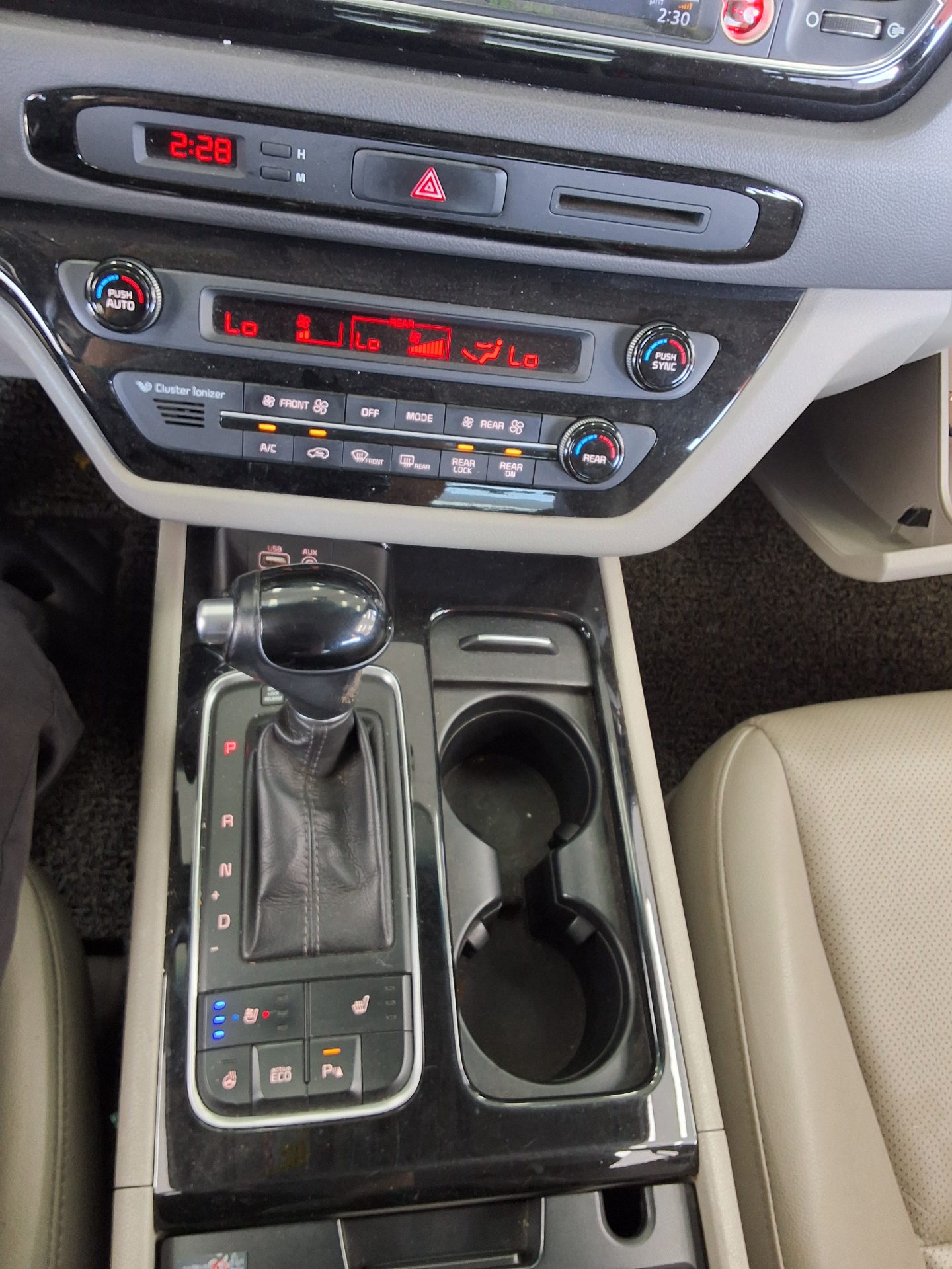 2015 - kia carnival