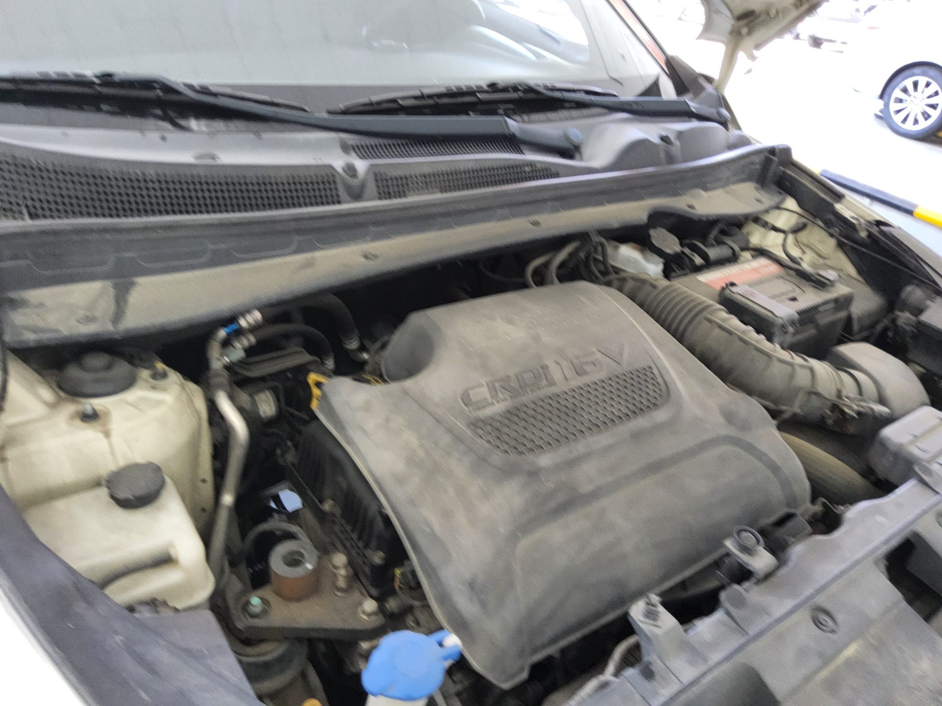 2011 - kia sportage