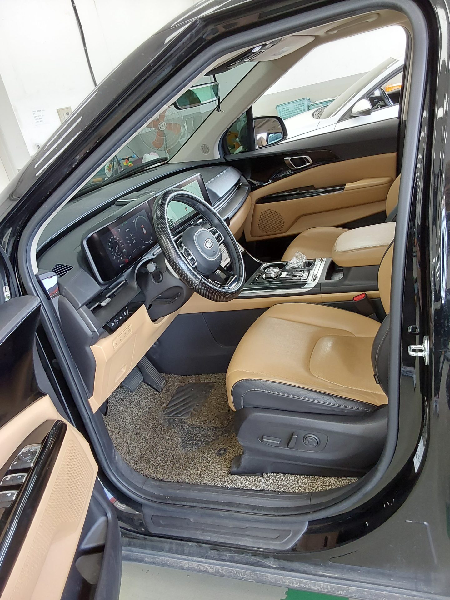 2021 - kia carnival