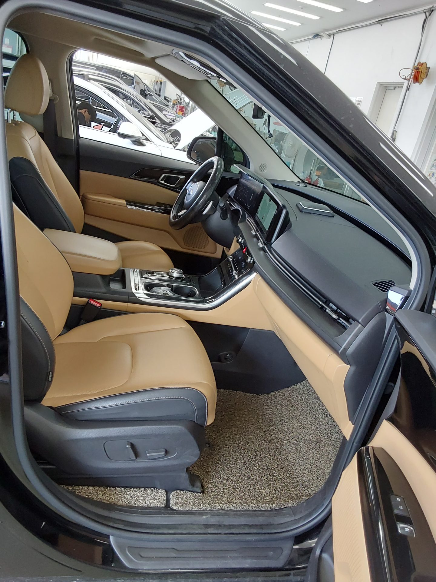 2021 - kia carnival