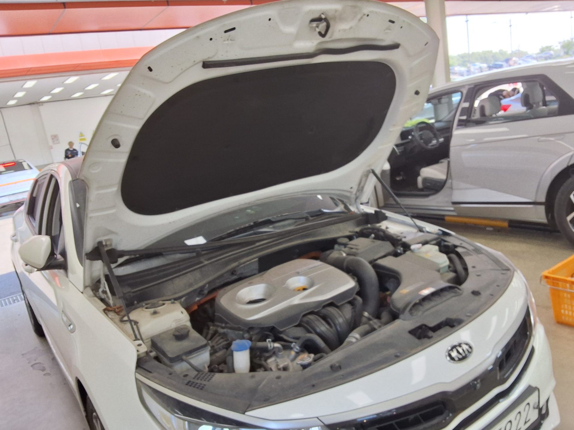 2019 - kia k5