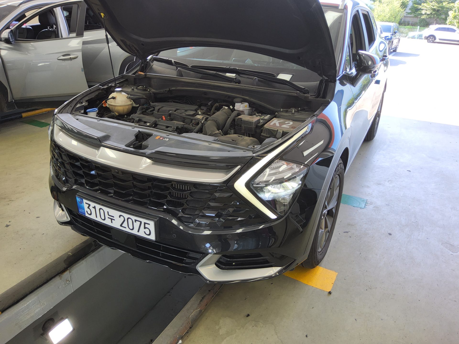 2022 - kia sportage