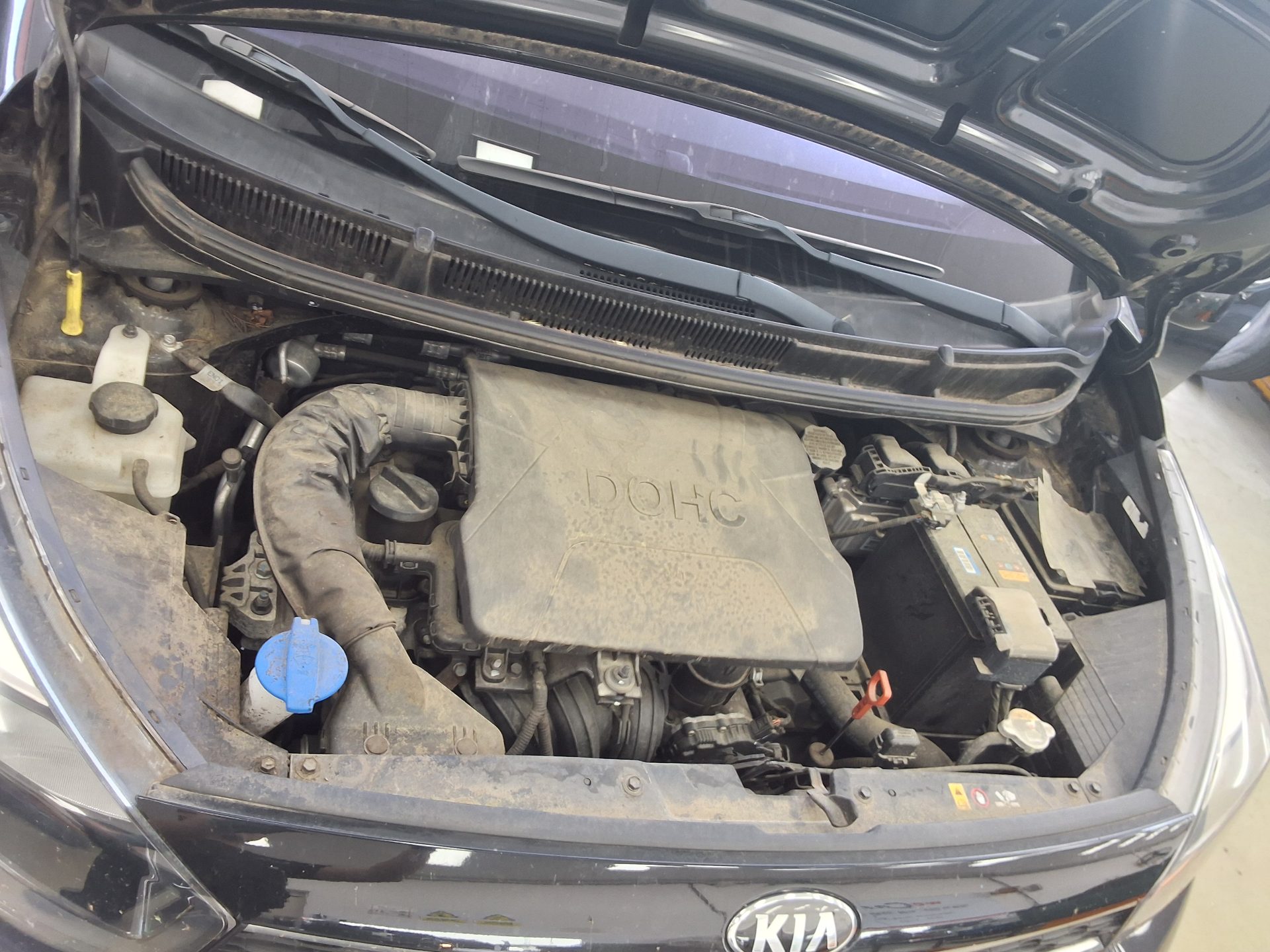 2018 - kia morning