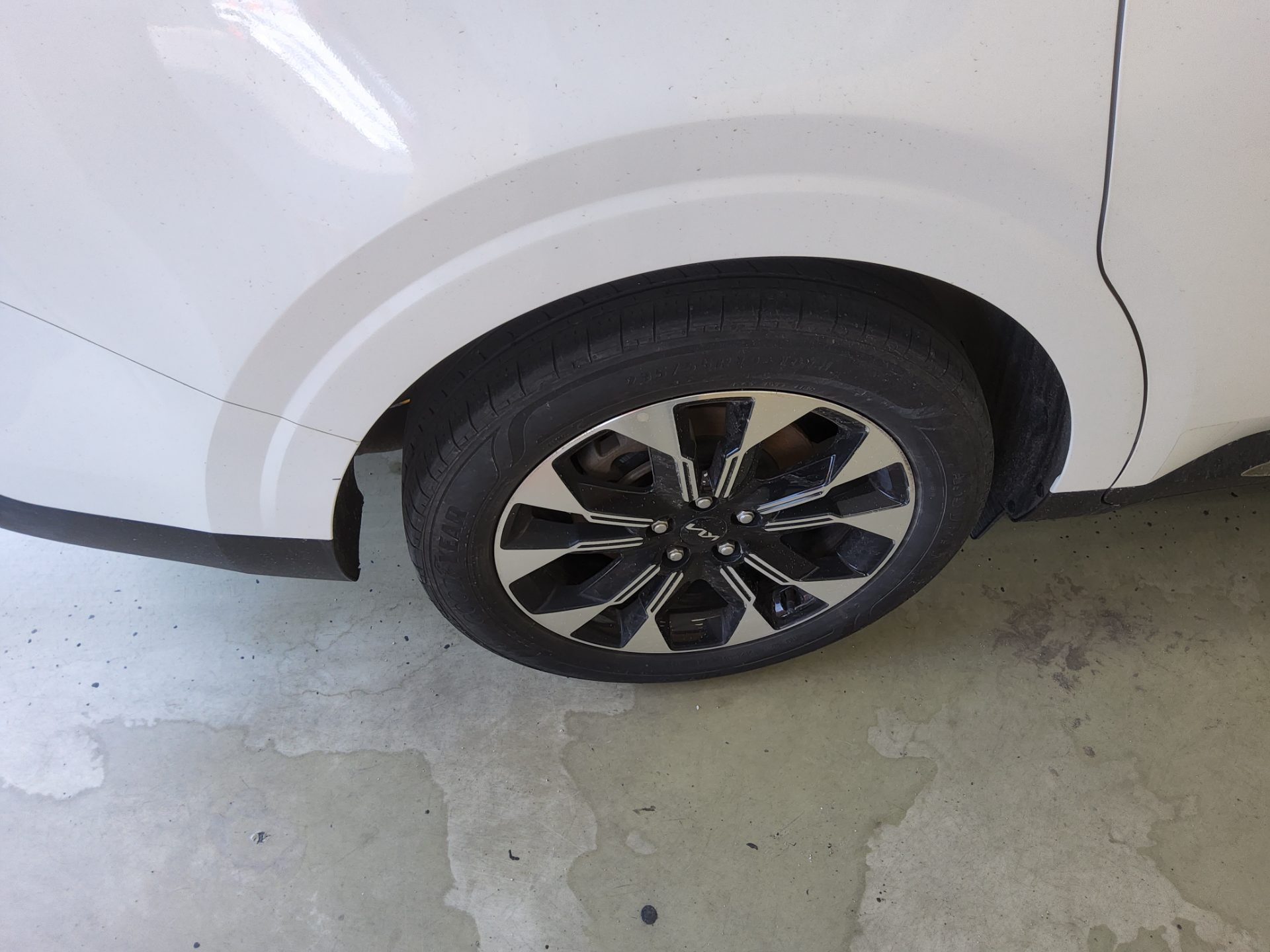 2023 - kia carnival