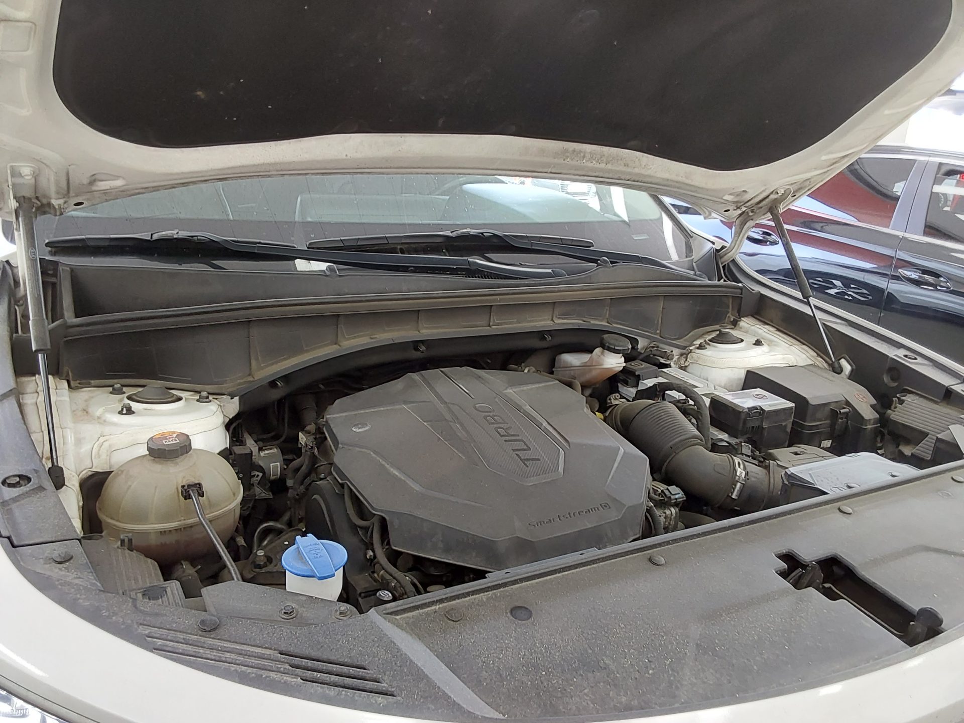 2021 - kia sorento