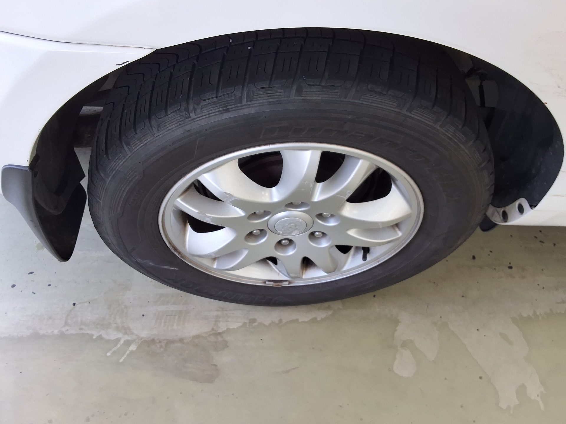 2011 - kia carnival
