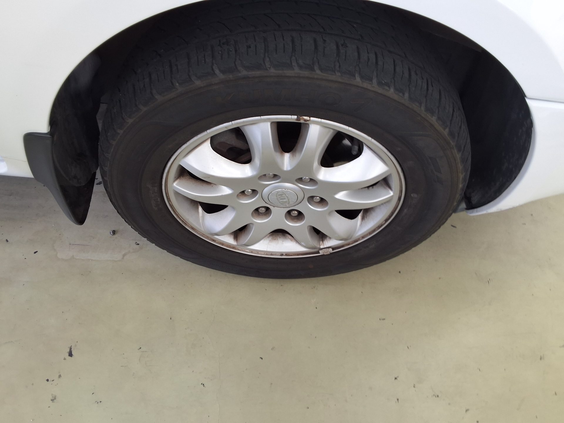 2011 - kia carnival
