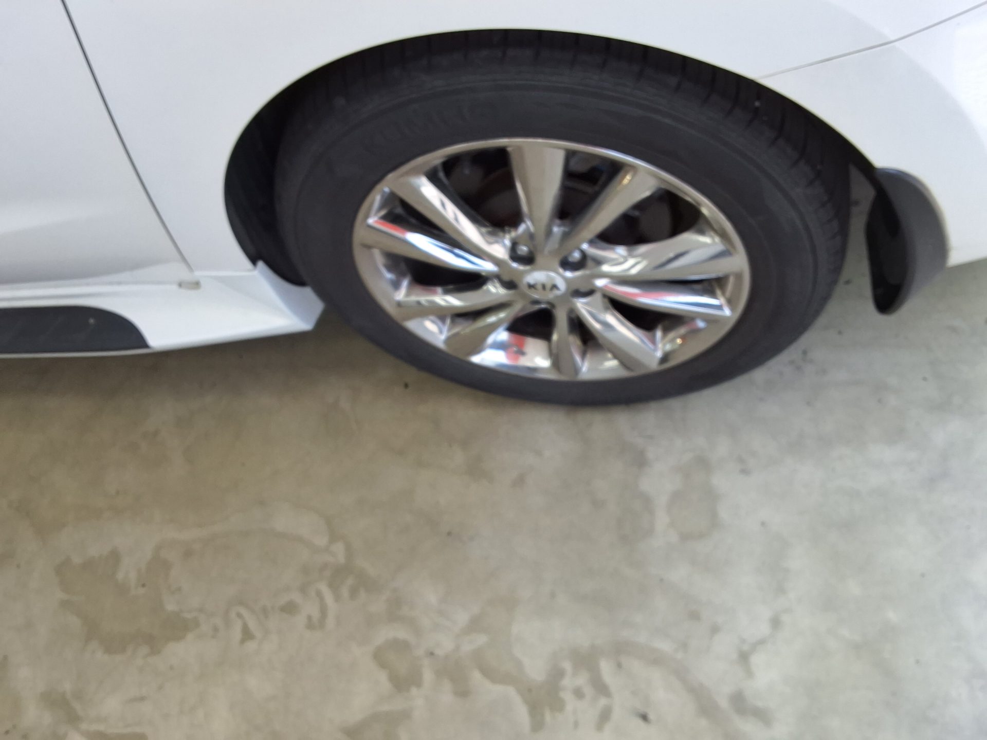 2019 - kia carnival