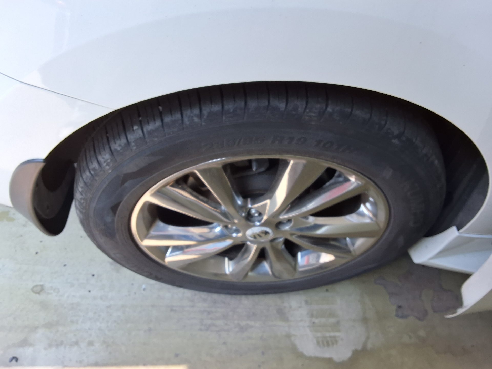 2019 - kia carnival