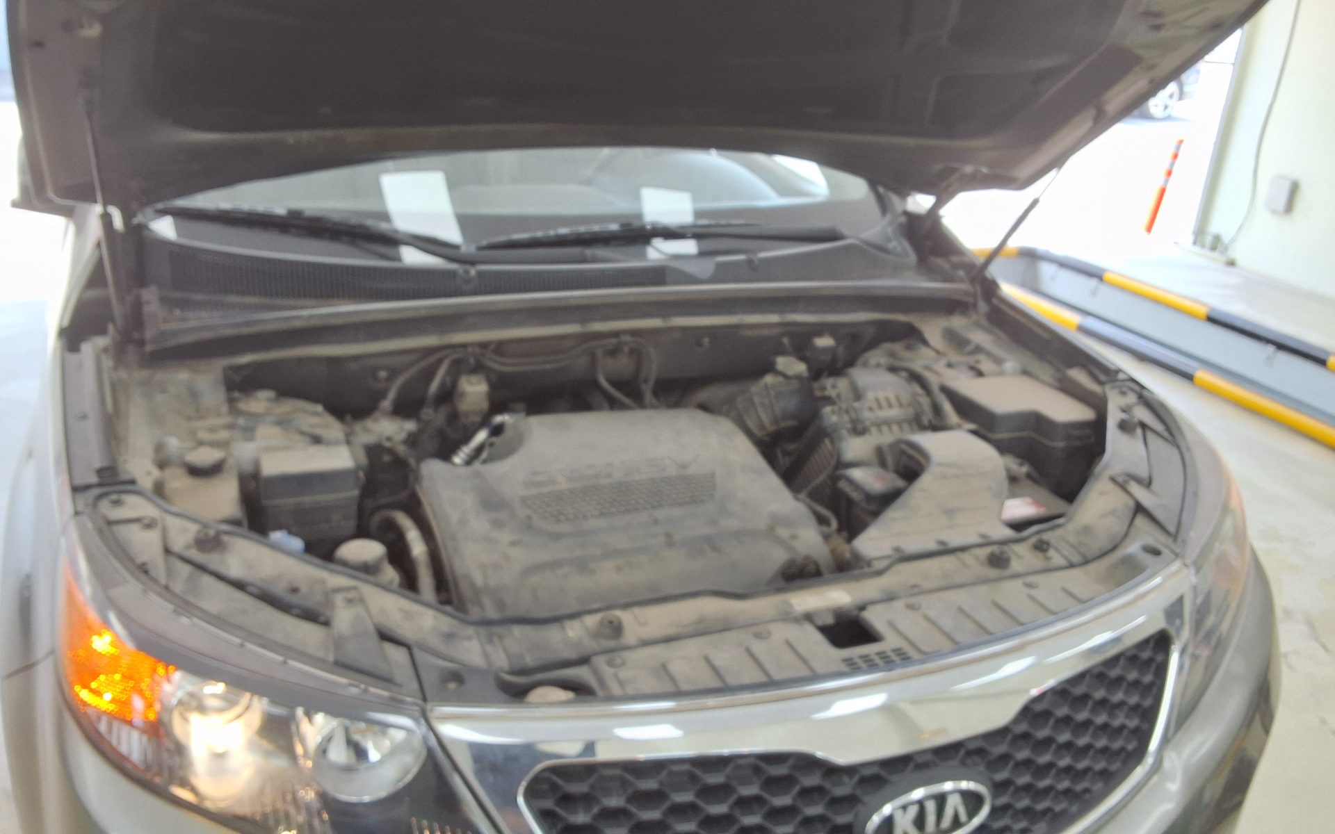 2011 - kia sorento