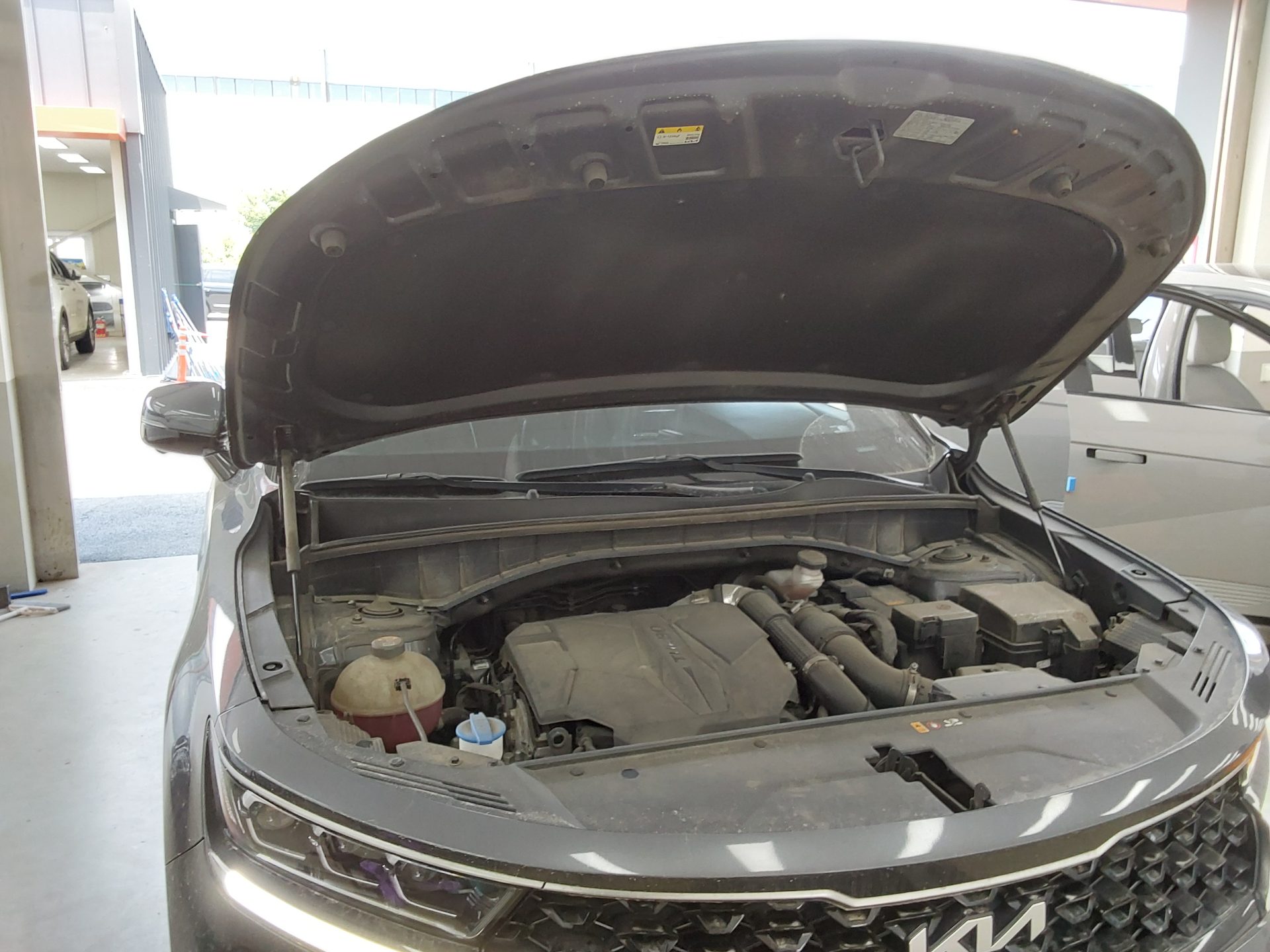 2023 - kia sorento
