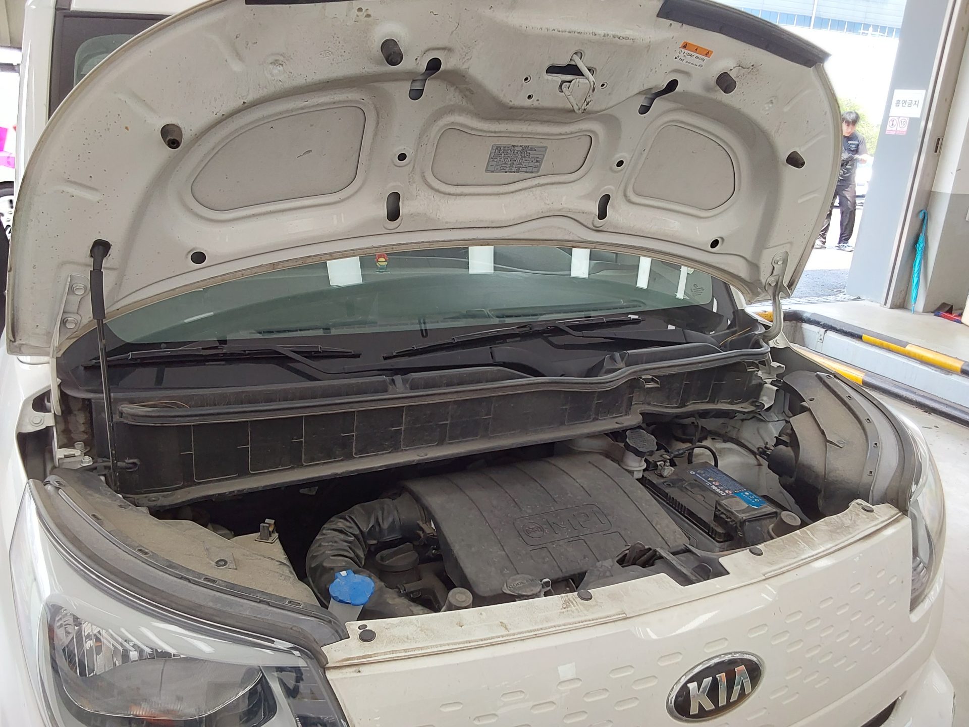 2021 - kia ray