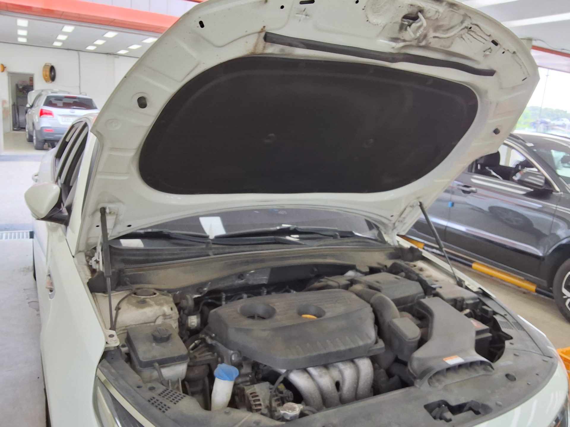 2019 - kia k5