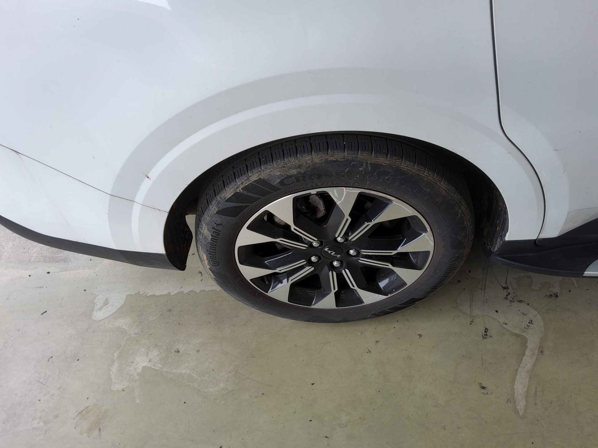 2023 - kia carnival