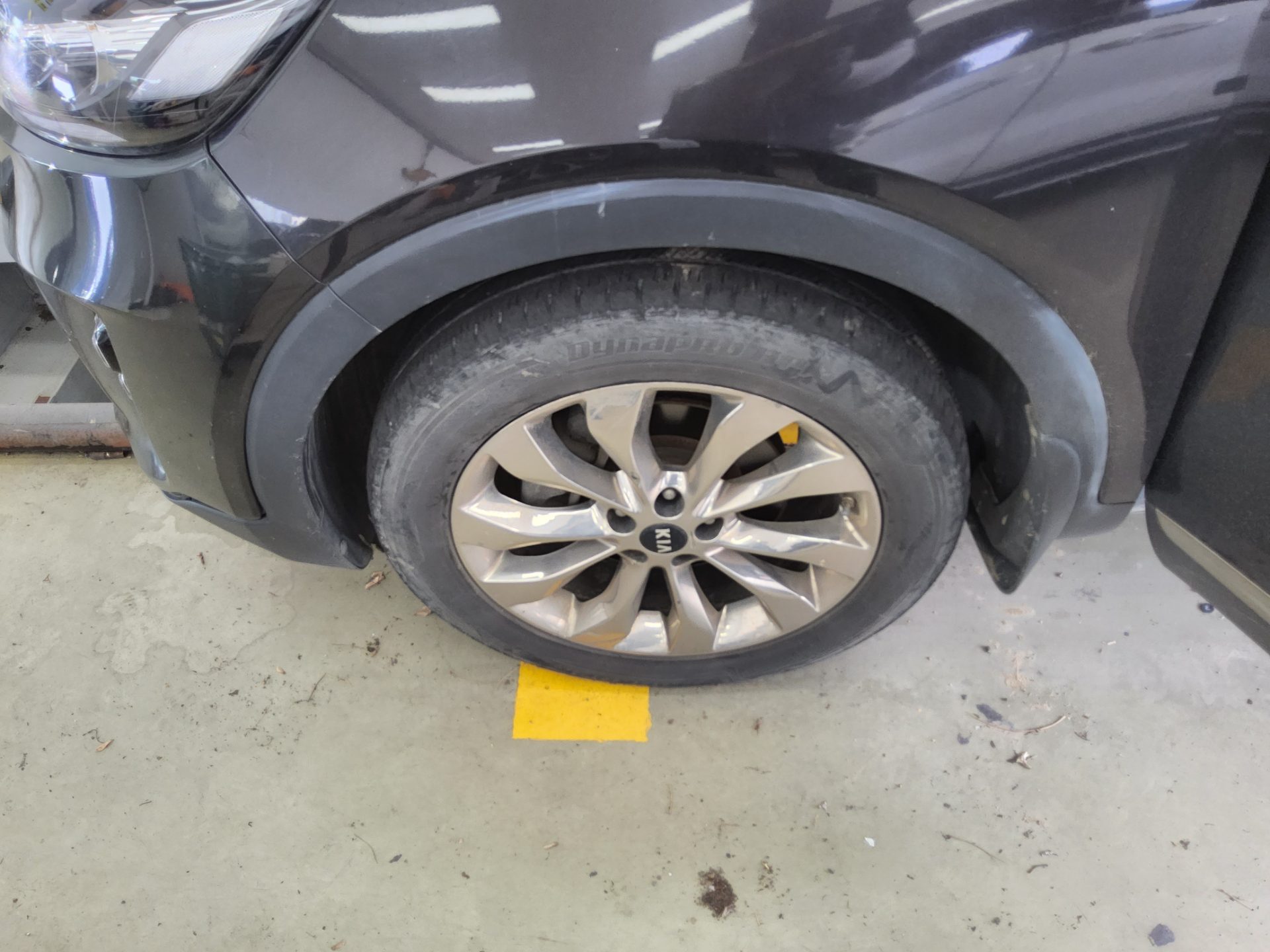 2019 - kia sorento