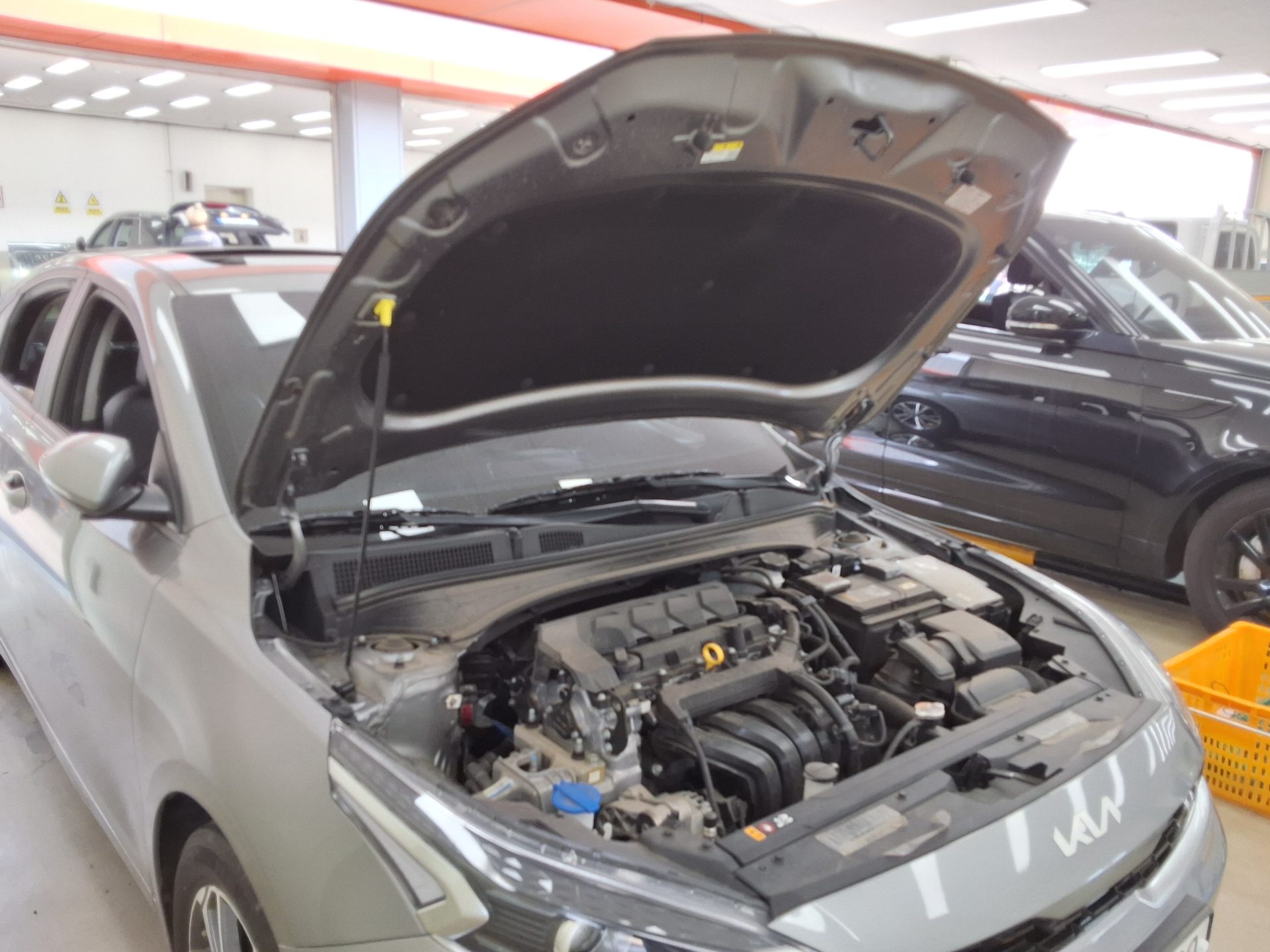 2024 - kia k3